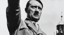 Timeline: Josh Branson