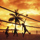 Volleyball at sunset greg vaughn