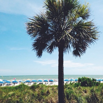 Timeline: Línea de tiempo de mi vida en Español