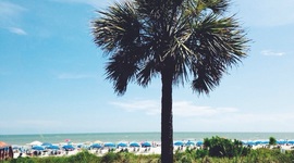 Timeline: Línea de tiempo de mi vida en Español