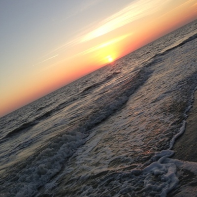 Timeline: Vida de Kristen