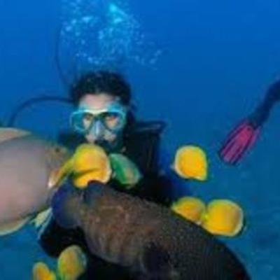 Timeline: La bouteille de plongée