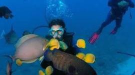 Timeline: La bouteille de plongée