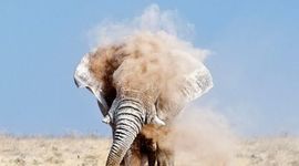 Timeline: IB in a timeline