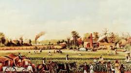 Timeline: Antebellum Timeline