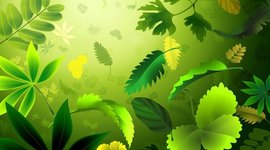 Timeline: Mi Línea del Tiempo