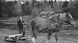 Timeline: Naturbrukets historia
