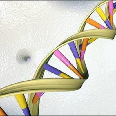 Timeline: Descubrimientos del DNA