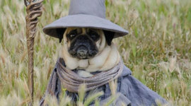 Timeline: Hist 215, Section 02, Charles, Miled, Sarra, Kat.