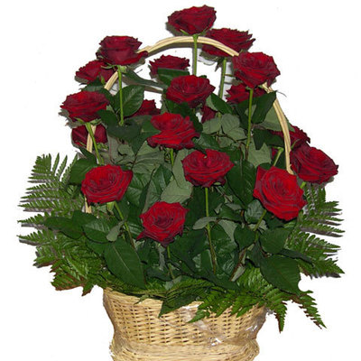 Timeline: Праздники