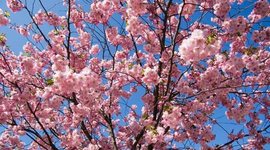 Timeline: наши праздники