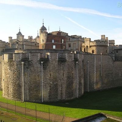 Timeline: NIck e Guilherme