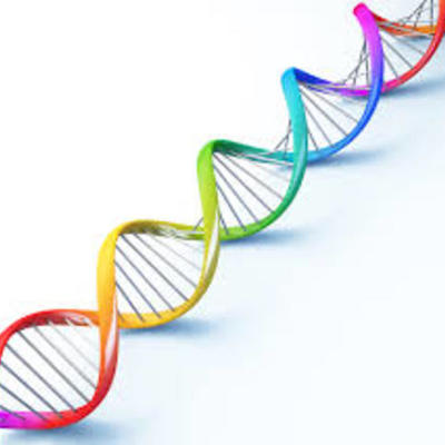 Timeline: PRINCIPALES ACONTECIMIENTOS DEL ADN