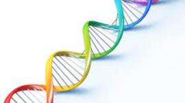 Timeline: PRINCIPALES ACONTECIMIENTOS DEL ADN