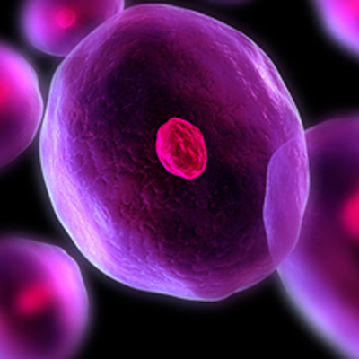 Timeline: Historia de la célula