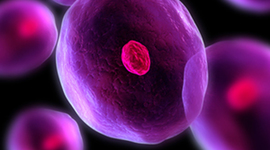 Timeline: Historia de la célula