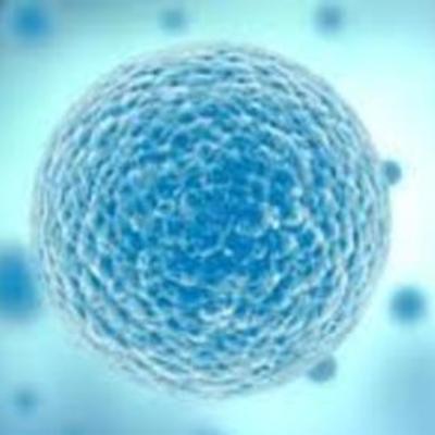 Timeline: Estudiosos de la Célula