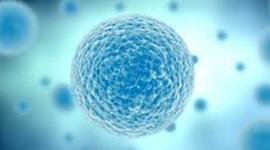 Timeline: Estudiosos de la Célula