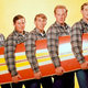 Beach boys 007