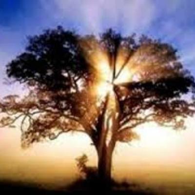 Timeline: Righteousness was Fought for Centuries