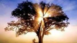 Timeline: Righteousness was Fought for Centuries