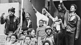 Timeline: Black Panthers