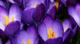 Timeline: the same day