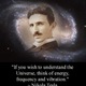 “if you wish to understand the universe think of energy frequency and vibration.” nikola tesla