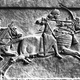 Assyrian horse archer
