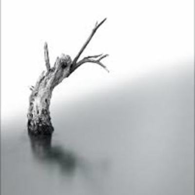 Timeline: Biografía académica de Marina