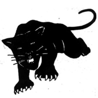 Timeline: Black Panthers
