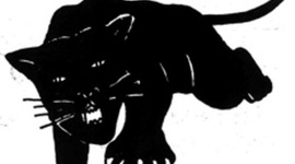 Timeline: Black Panthers