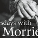 Tuesdayswithmorrie