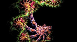 Timeline: Cronograma sobre los principales acontecimientos del DNA - Silvia Segura.