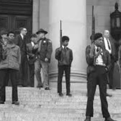 Timeline: Black Panthers
