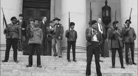 Timeline: Black Panthers