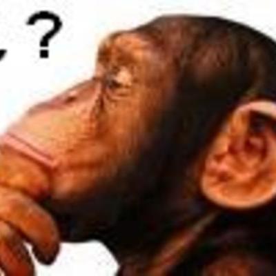 Timeline: Matemática 2º B