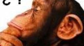 Timeline: Matemática 2º B