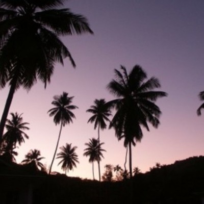 Timeline: - CHRIS GARDNER -