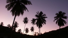 Timeline: - CHRIS GARDNER -