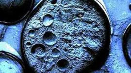 Timeline: Teoría  Celular