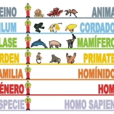 Timeline: Los orígenes de la Taxonomia