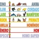 Clasificacion taxonomica ser humano