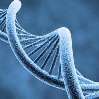 Timeline: Acontecimientos del DNA