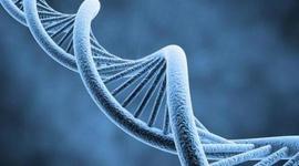 Timeline: Acontecimientos del DNA