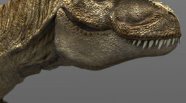 Timeline: Wheeler & Hall Expansion Pd.7