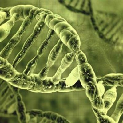 Timeline: Principales acontecimientos de DNA