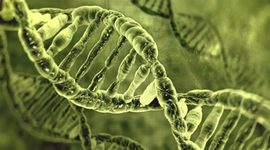 Timeline: Principales acontecimientos de DNA