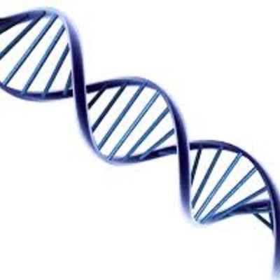 Timeline: Acontecimientos sobre el DNA