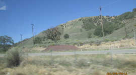 Timeline: Of Beetles and Angles 2